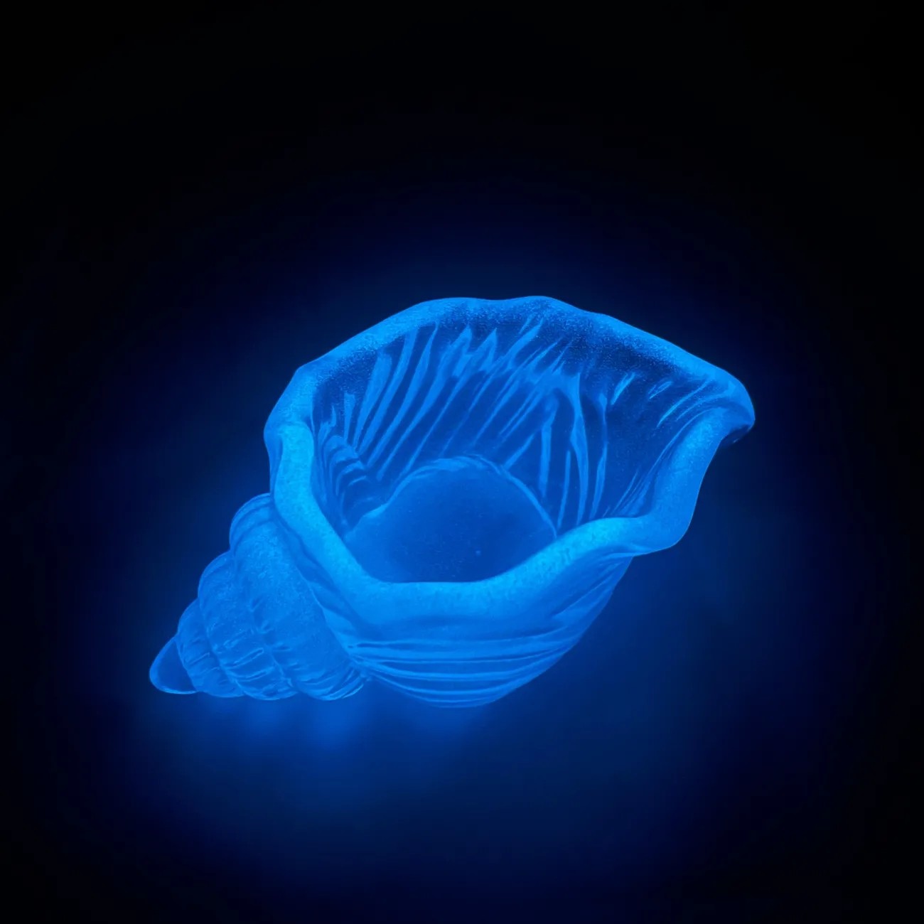 夜光海螺儿童发光玩具创意荧光摆件海星夜光石玩具桌面鱼缸送礼,淘宝优惠券,粉丝福利购,淘宝优惠卷