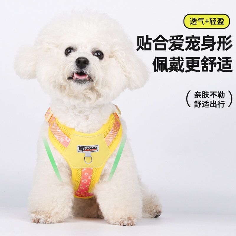 狗狗牵引胸背带中小型犬多巴胺撞色狗胸背外出透气网布小狗牵引绳 - 图0