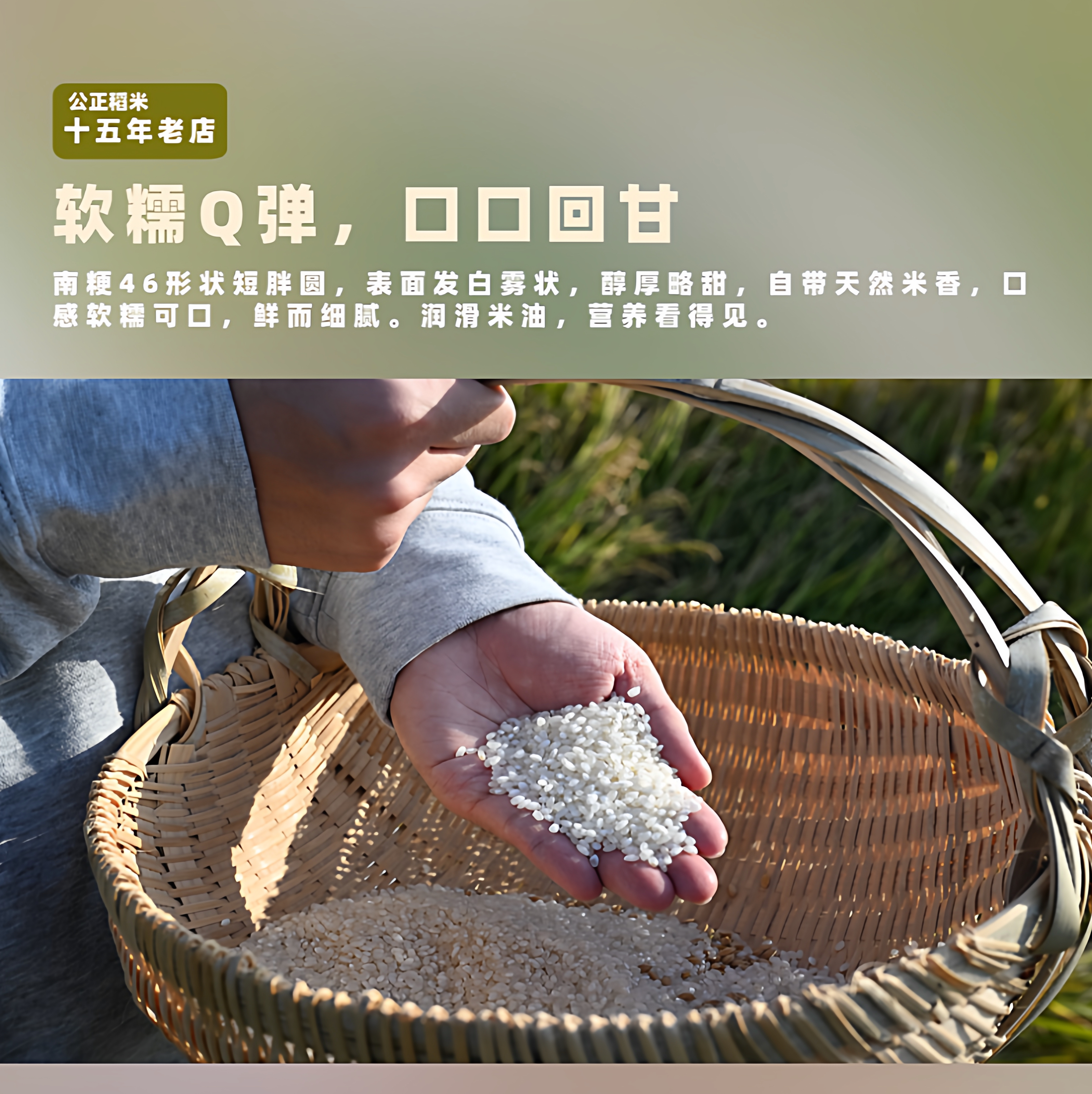 公正稻米南粳46大米米香软糯2斤香圆粒煮粥蒸饭农垦粳米一级便携