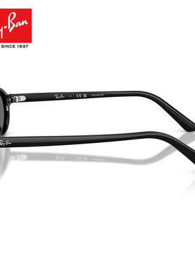 雷朋书呆子窄框椭圆复古偏光墨镜