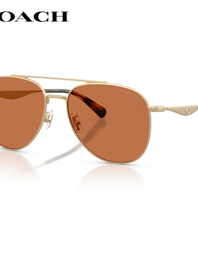 蔻驰潮酷飞行员款双梁太阳镜男女