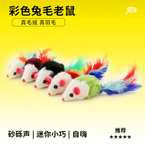 Cat toy plush small rat seven colorful feathers teasing cat toy kitty self-hi to unsulking young cat with little toy to raise cat