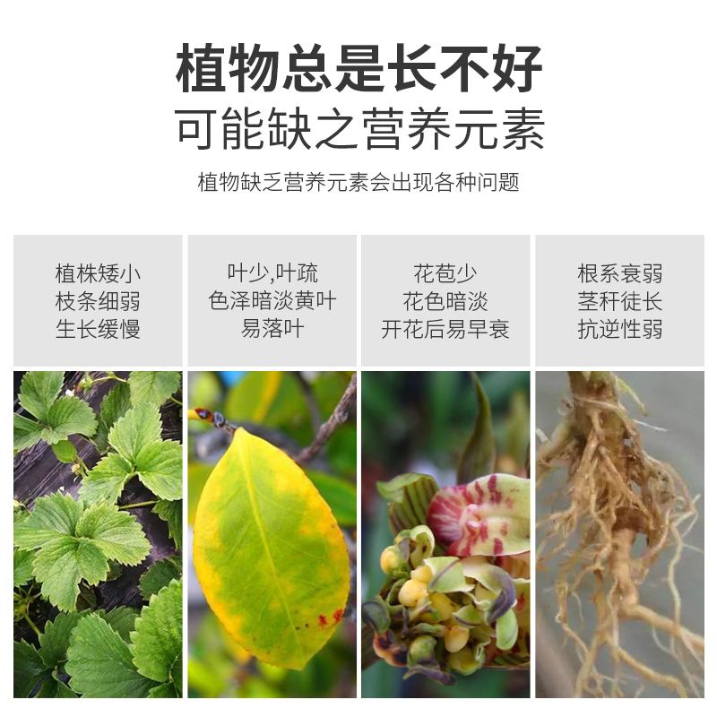 奥绿缓释肥颗粒通用型奥绿318s奥绿a2月季花肥家用盆栽官方旗舰店-图0