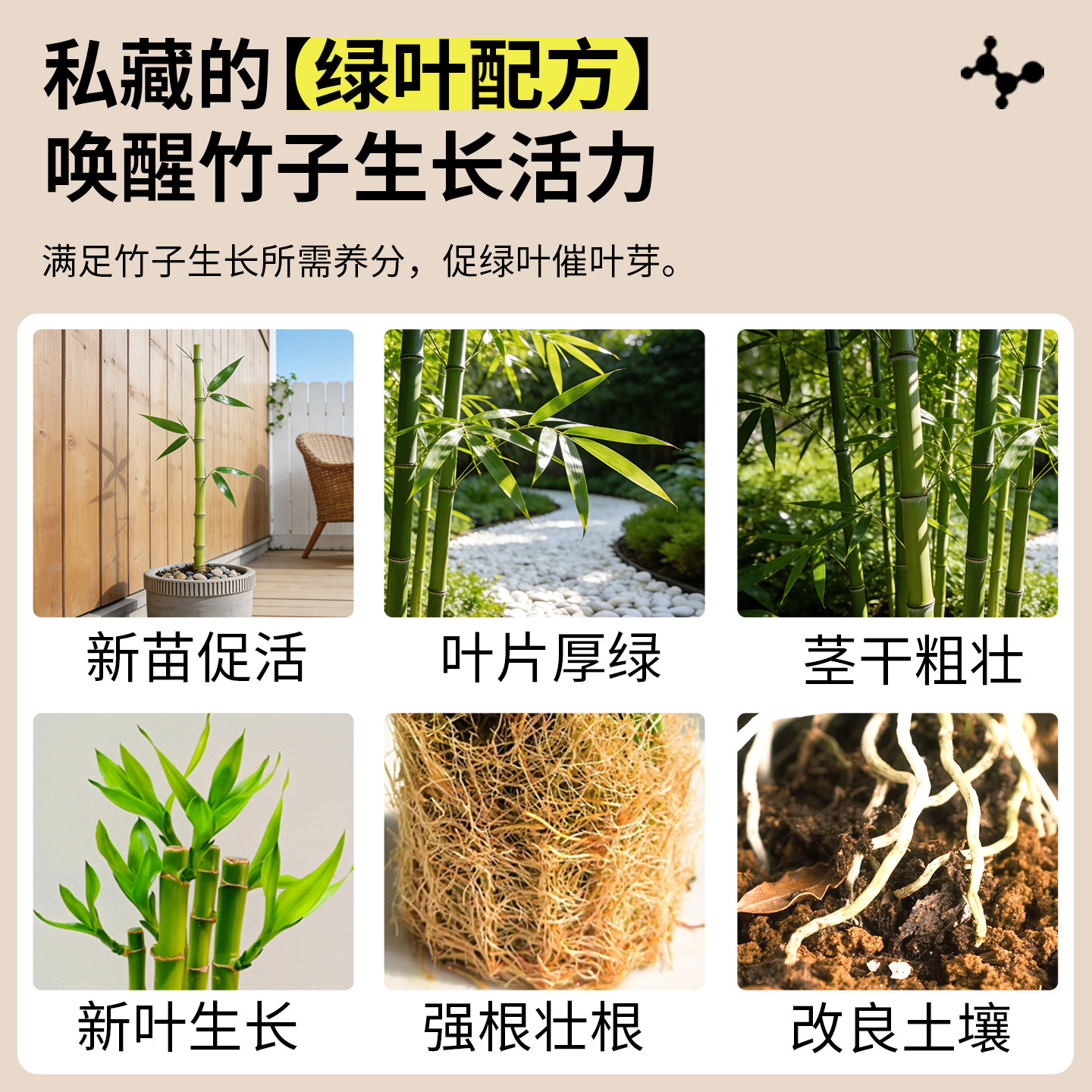 竹子专用营养液治叶子发黄盆栽室内水培文昌观音竹黄叶变绿叶肥料,淘宝优惠券,粉丝福利购,淘宝优惠卷
