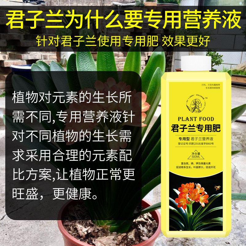 君子兰专用肥腰肥磷酸二氢钾肥料花卉兰花蝴蝶兰有机营养液促开花,淘宝优惠券,粉丝福利购,淘宝优惠卷