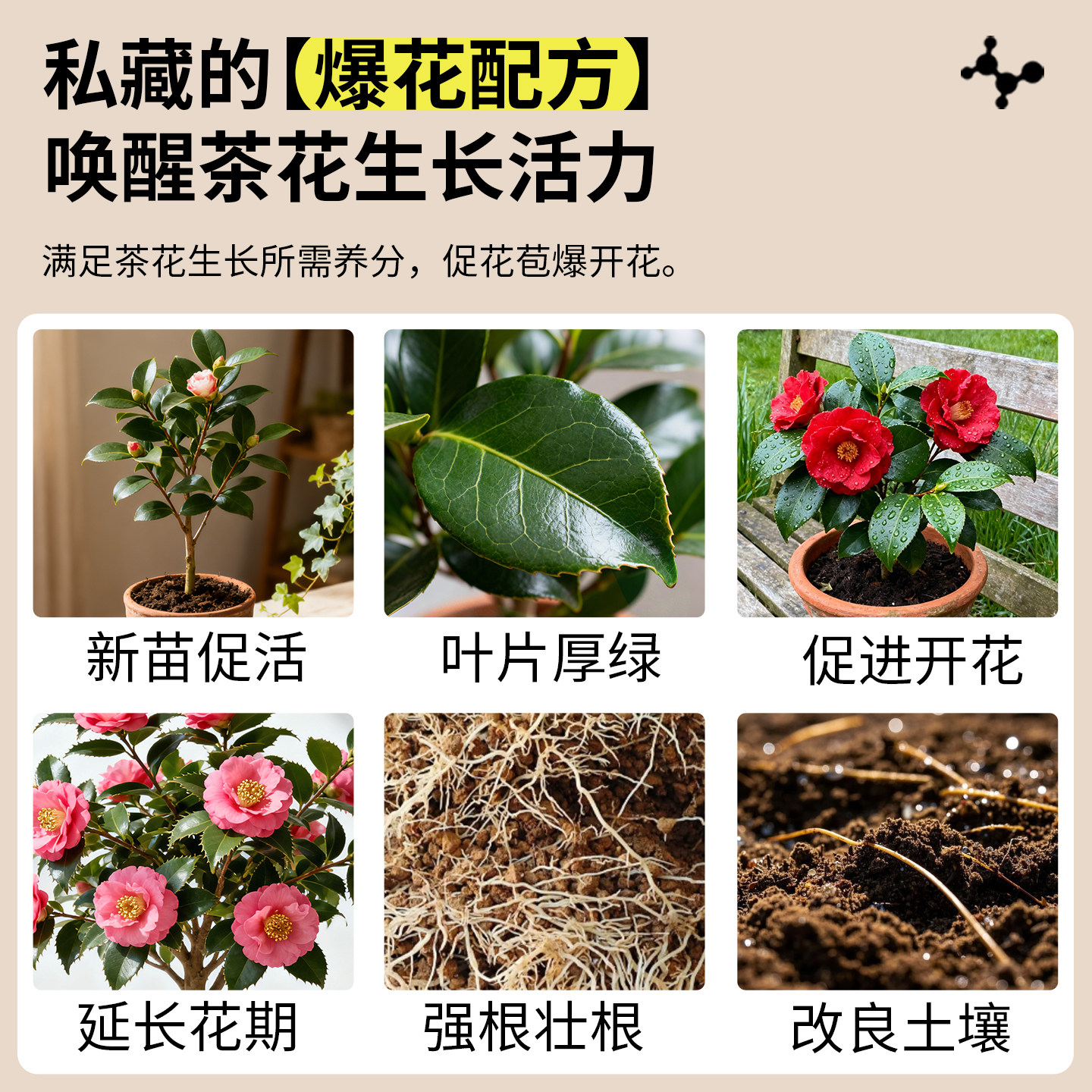 茶花专用肥促开花防黄叶山茶花肥植物营养肥料长效缓释养花颗粒肥,淘宝优惠券,粉丝福利购,淘宝优惠卷
