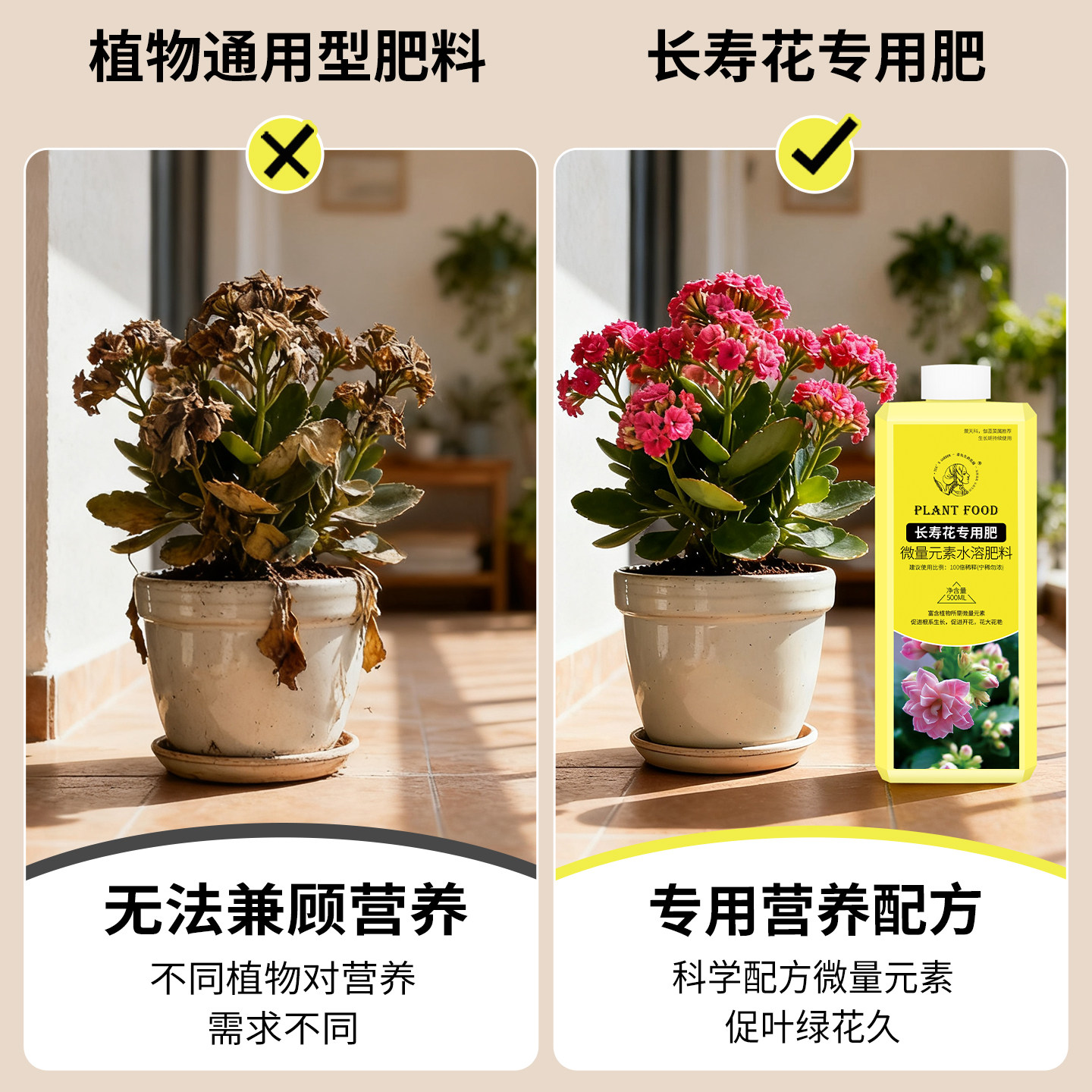 长寿花肥料专用复合肥促开花氮磷钾花卉营养液花肥养花通用爆花肥,淘宝优惠券,粉丝福利购,淘宝优惠卷