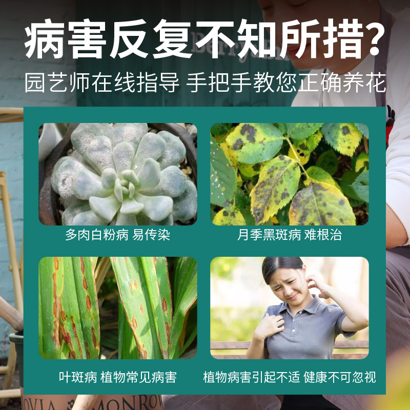 好青闲月季花病虫害常用药专治黑斑白粉病专用药兰花黑斑病好清闲-图0