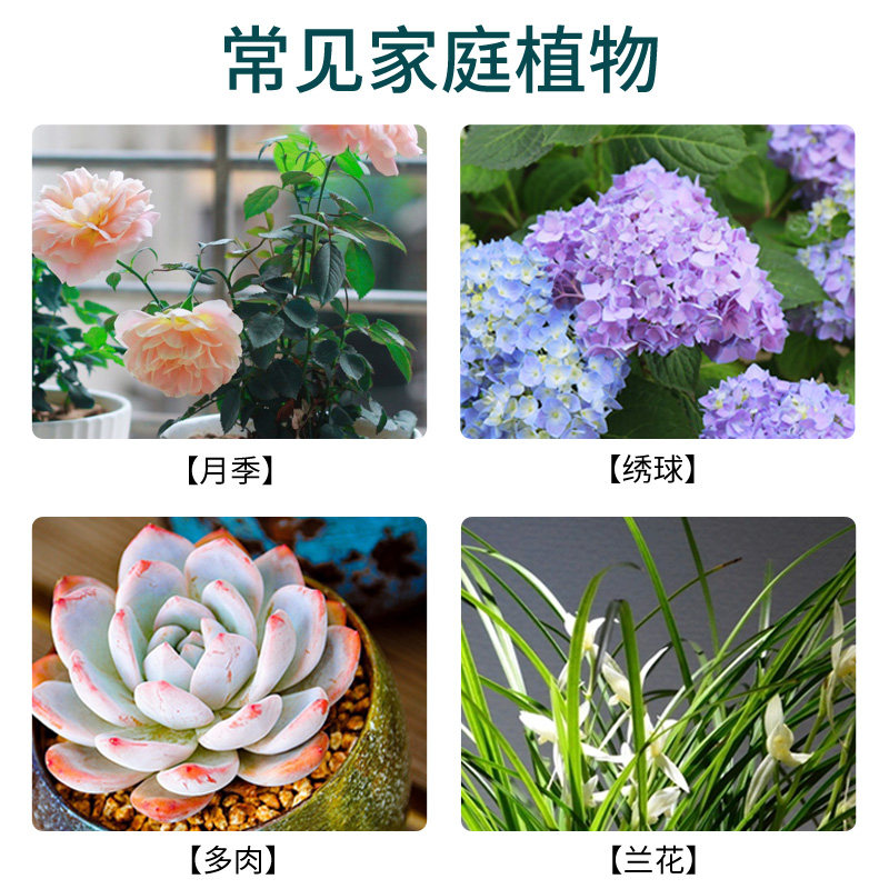 花病康花枝俏免稀释多菌灵多菌菌灵杀菌剂花卉植物通用白粉黑斑病,淘宝优惠券,粉丝福利购,淘宝优惠卷