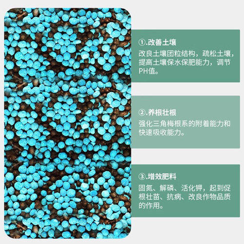 三角梅开花专用肥爆花促花施肥磷酸二氢钾肥料花卉专用颗粒缓释肥 - 图1