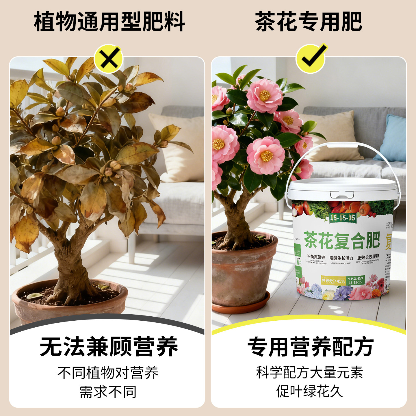 茶花专用肥促开花防黄叶山茶花肥植物营养肥料长效缓释养花颗粒肥,淘宝优惠券,粉丝福利购,淘宝优惠卷