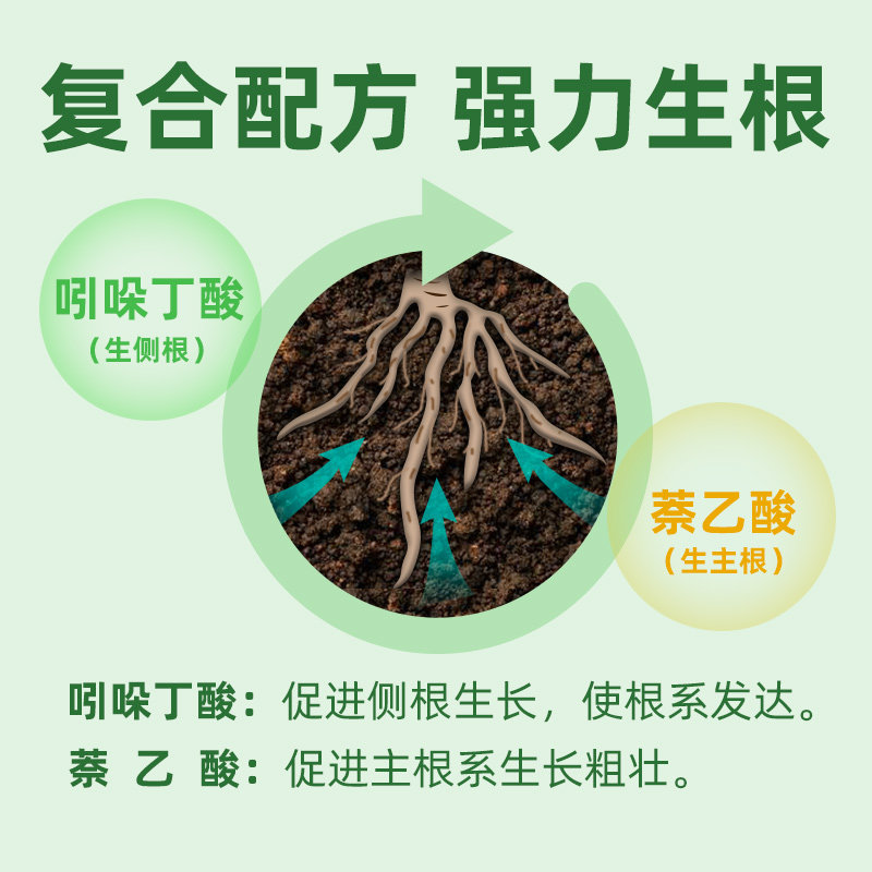 吲丁萘乙酸快速生根粉植物通用扦插专用移栽树苗生根剂生根壮苗剂_虎窝淘