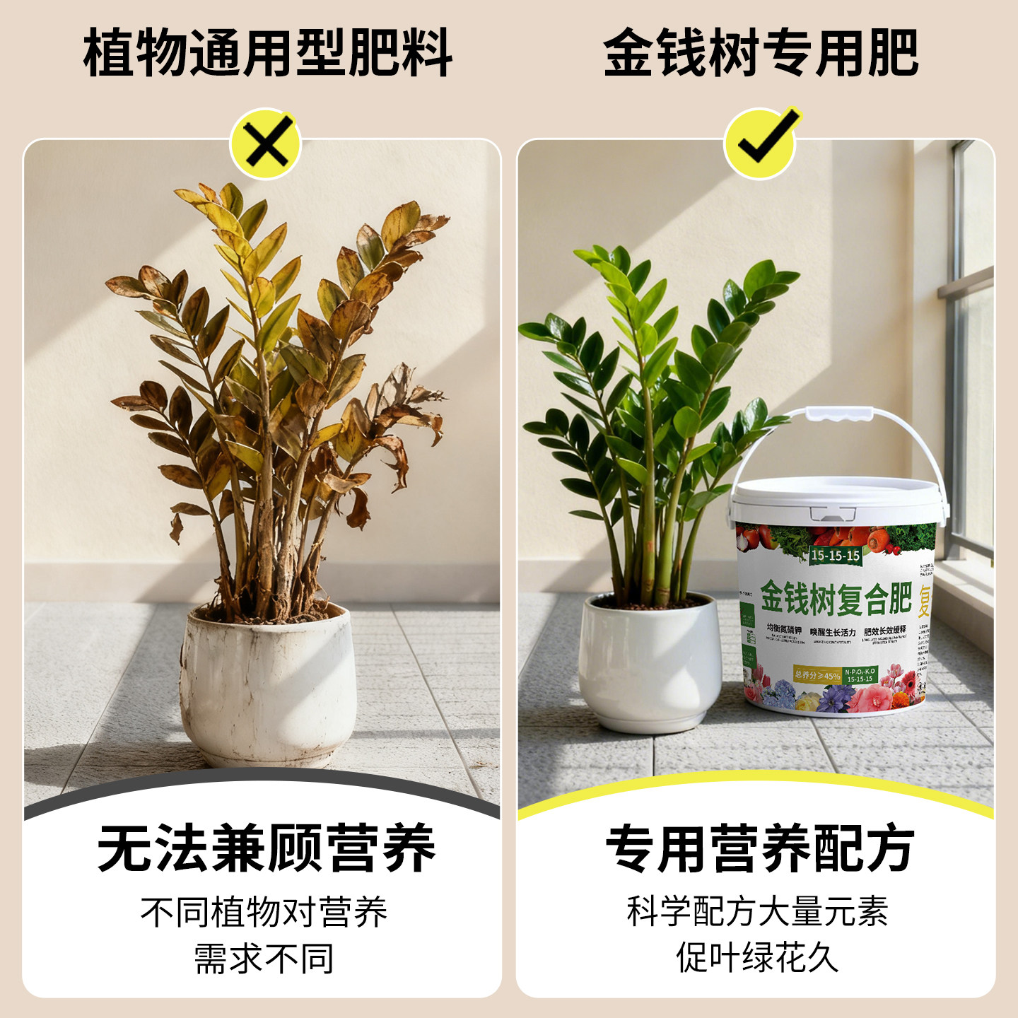 金钱树专用肥钱串子氮磷钾三元复合肥颗粒缓释肥花肥通用养花肥料,淘宝优惠券,粉丝福利购,淘宝优惠卷