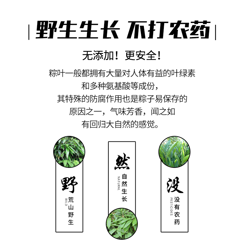 鲜粽叶粽子叶干大码新鲜野生大号包粽子的叶子大箬叶免邮广西新叶 - 图2