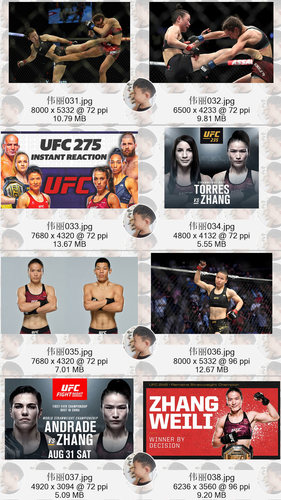 张伟丽ufc明星格斗搏击超高清4K12K手机电脑图片壁纸海报JPG素材 - 图3