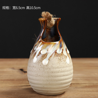 悬挂式墙壁复古绿萝水培小花瓶