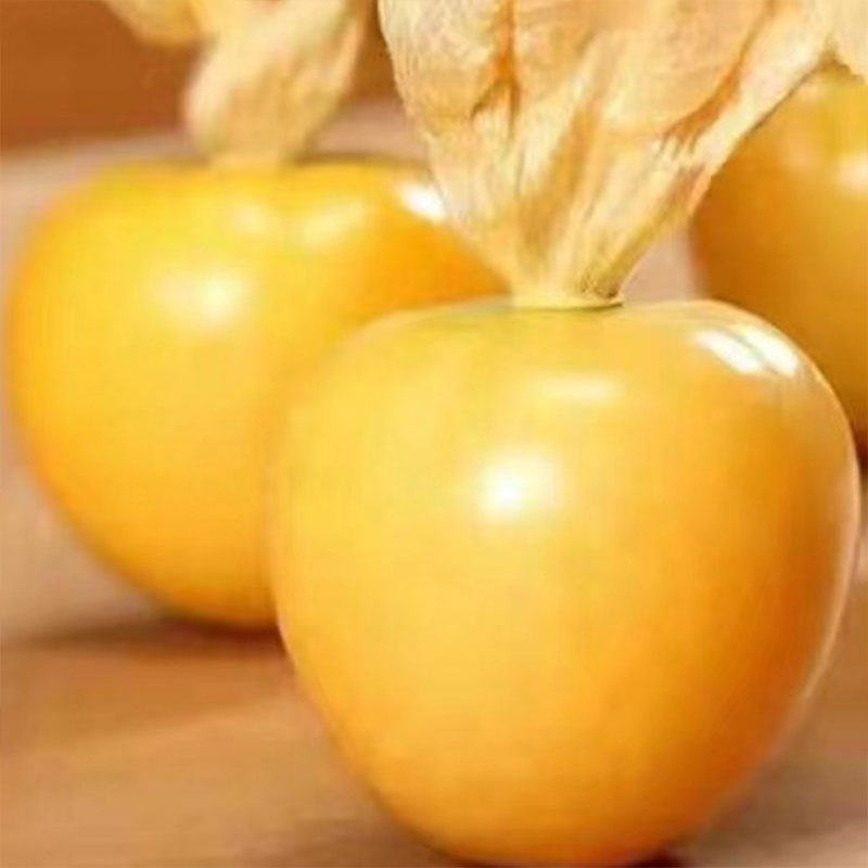 东北黄菇娘果新鲜灯笼果农家小园自种姑娘果香甜皮薄肉厚的菇娘果,淘宝优惠券,粉丝福利购,淘宝优惠卷