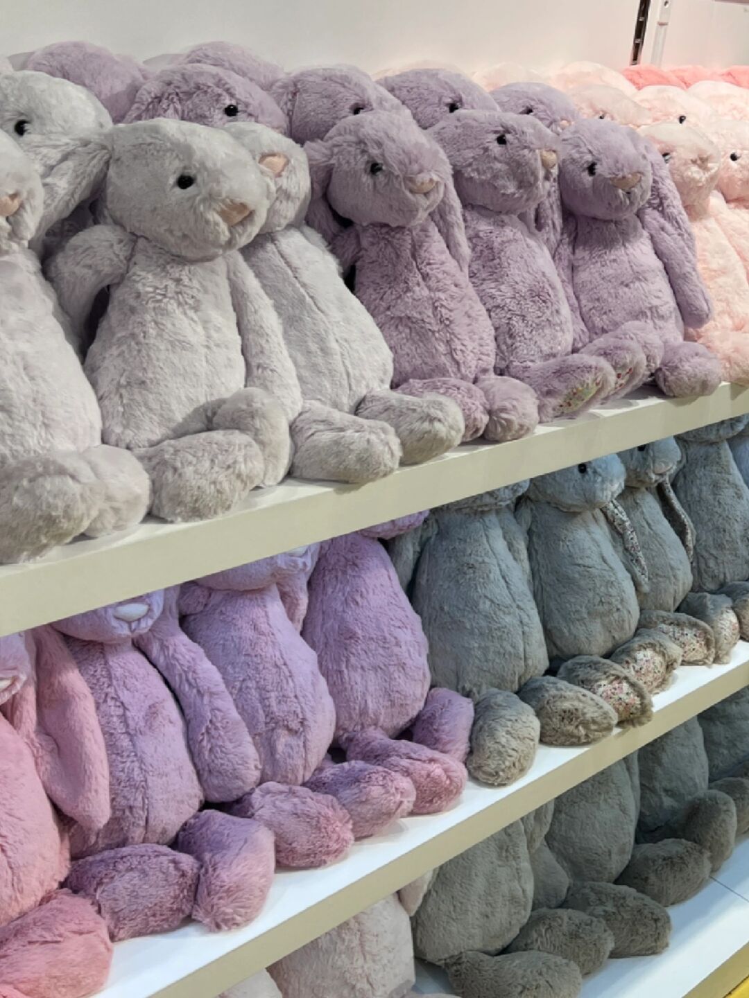 英国jELLYCAT经典害羞邦尼兔超柔软毛绒玩具公仔陪伴玩偶抱枕女生 - 图0