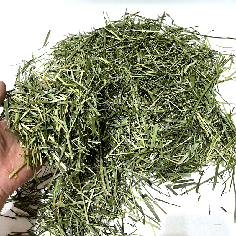 小仓鼠提摩西草段木屑除臭金丝熊笼造景专用垫料小宠夏天用品