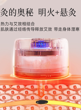 新型艾灸盒随身灸家用无烟熏蒸仪