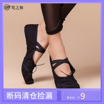 Van Gogh Dance belly dance Soft bottom Practice Shoes Ballet canvas Soft bottom breathable Shoe Cat Paw Shoes Dance Practice Shoes