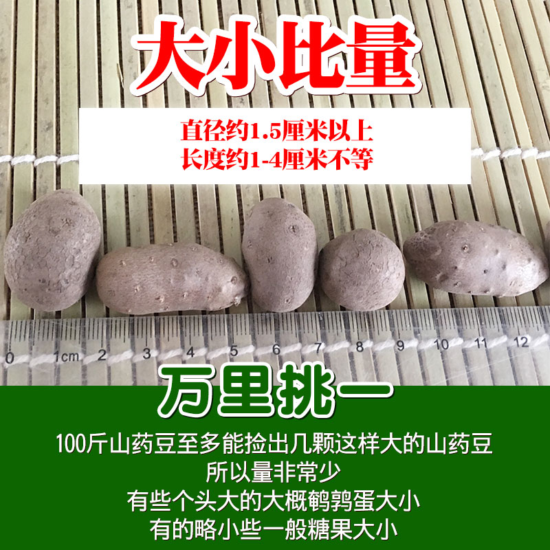 新鲜特大号山药豆1斤装农家山药蛋2斤包邮零余子饭店菜品宝宝辅食-图2