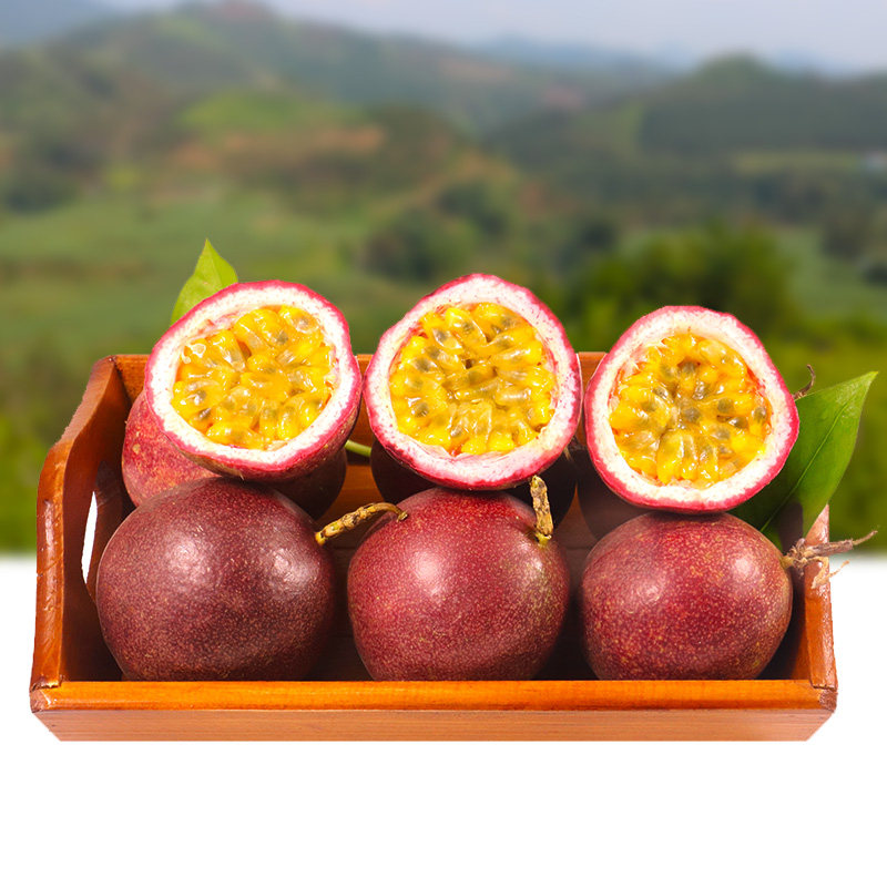  品阁水果百香果