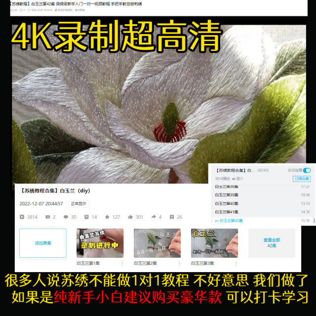 ການແນະນຳກ່ຽວກັບການປັກແສ່ວ Su embroidery DIY ສໍາລັບມືໃໝ່ດ້ວຍການສອນແບບ 1 ຫາ 1
