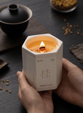 2026固体有火香薰蜡烛卧