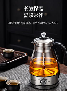 大泽多功能蒸汽煮茶养生壶电茶壶