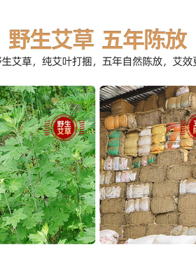 蕲郎中4cm加粗艾柱扶阳透灸艾条