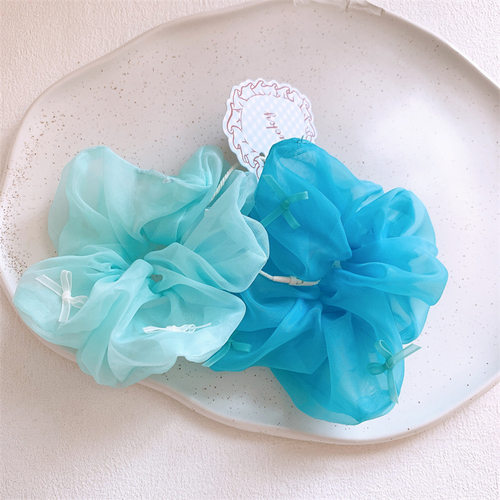 新款儿童糖果色欧根纱大肠发圈甜美少女扎马尾皮筋头绳丸子头发绳 - 图3