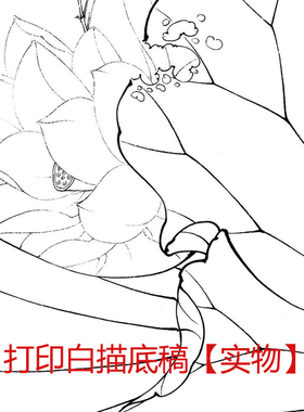 工笔画打印白描底稿透稿临摹勾线