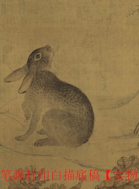 工笔画打印白描底稿初学者临摹