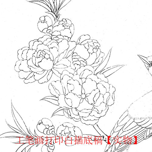 工笔画打印底稿宋画《桃花山鸟图》临摹初学者线描宣纸过稿素材 - 图1