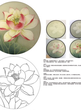 国画底稿白描线稿熟宣卡纸扇面直接上色圆形花鸟初学者临摹练习