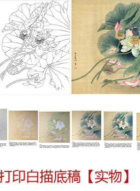 工笔画打印白描底稿郑玲玲荷花鱼