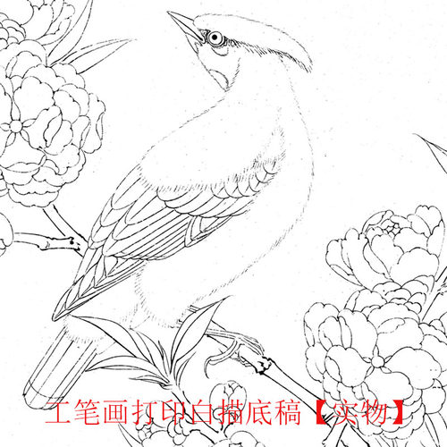 工笔画打印底稿宋画《桃花山鸟图》临摹初学者线描宣纸过稿素材 - 图3