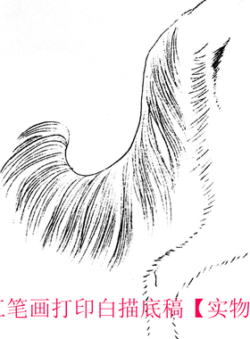 打印李迪猎犬初学者线描工笔画