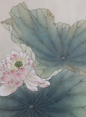 工笔画打印白描底稿横幅四尺荷花高清线描初学者临摹过稿创作参考