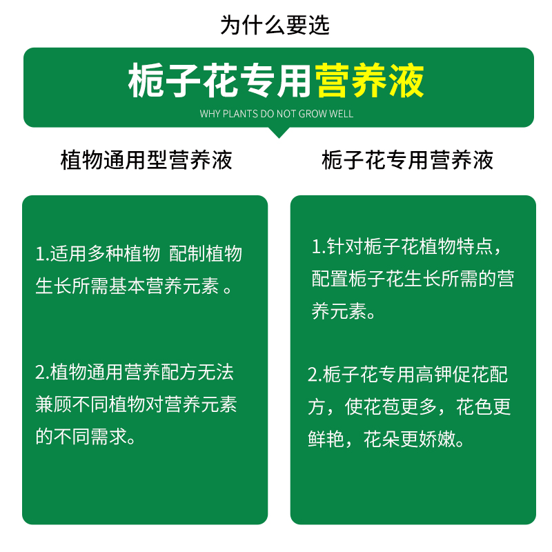 栀子花肥料专用肥营养液开花家用水培植物养花盆栽通用型硫酸亚铁-图2