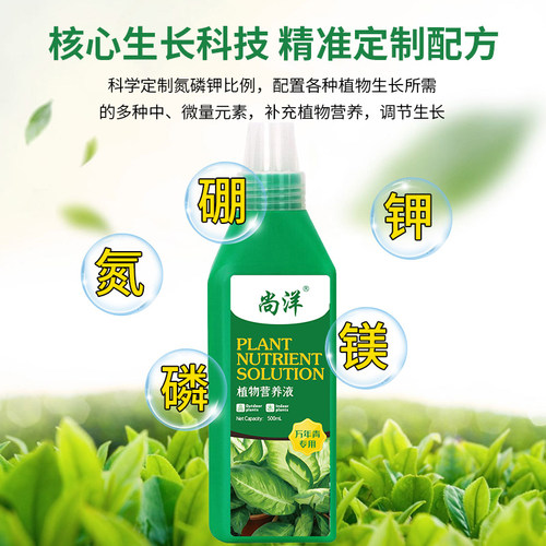 万年青专用肥营养液家用室内养花肥料盆栽通用型银皇后有机复合肥 - 图2