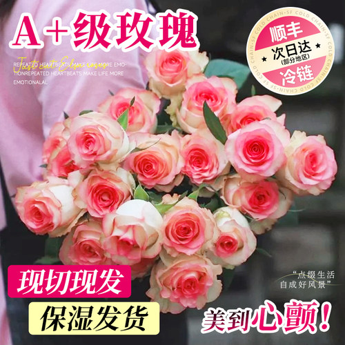 艾莎玫瑰花鲜花云南基地直发顺丰次日达鲜切花室内花期超长插花束 - 图1