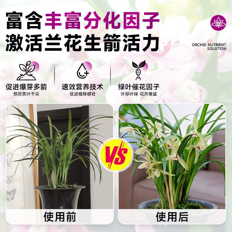 兰花多箭素兰灵王蝴蝶兰蕙兰爆芽素多剑王生根发芽开花专用营养液,淘宝优惠券,粉丝福利购,淘宝优惠卷