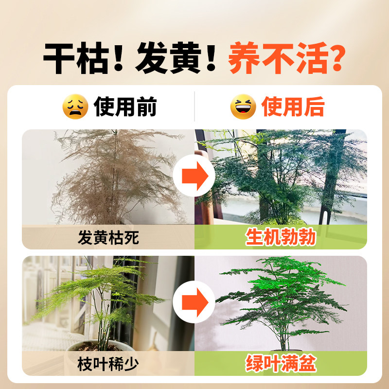 免稀释文竹专用植物营养液治黄叶烂根肥料家用盆栽植物液体复合肥,淘宝优惠券,粉丝福利购,淘宝优惠卷