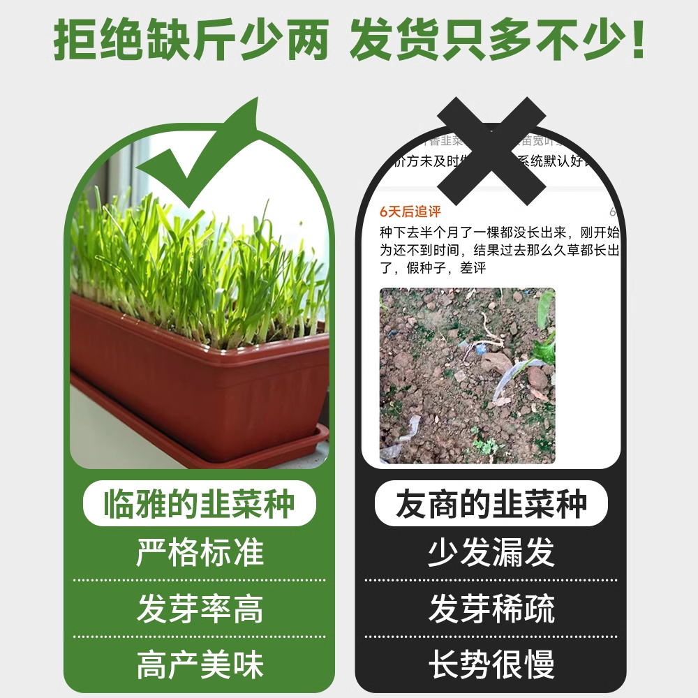 韭菜种子种籽红根老品种紫根宽叶大小叶四季本地种孑阳台蔬菜盆栽,淘宝优惠券,粉丝福利购,淘宝优惠卷