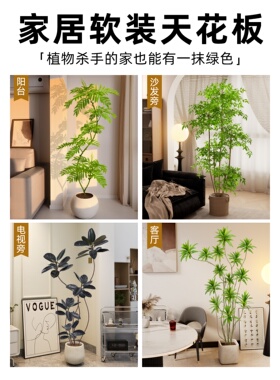 仿真绿植室内大型客厅沙发旁盆栽