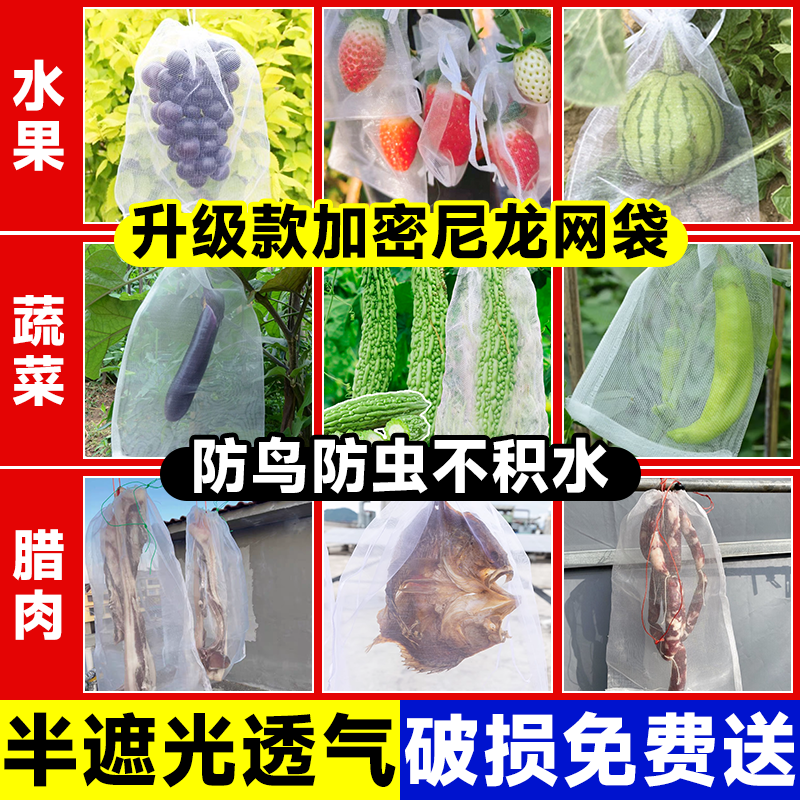 水果套袋防鸟防虫专用网袋葡萄桃子枇杷苹果套袋神器草莓保护袋子 - 图2