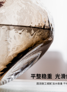 花瓶轻奢高级感客厅插花透明
