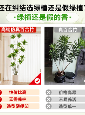 仿真绿植百合竹客厅室内大型绿植